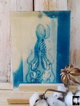 Cyanotype sur verre
